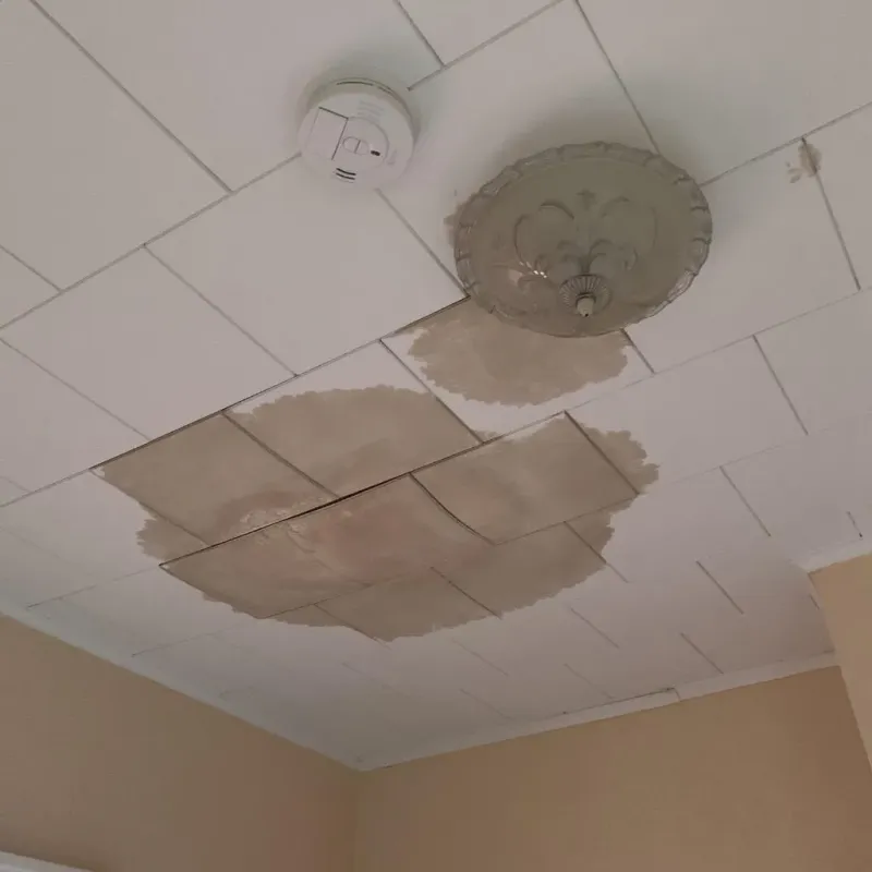 Ceiling Water Damage Repair in East Sumter, SC