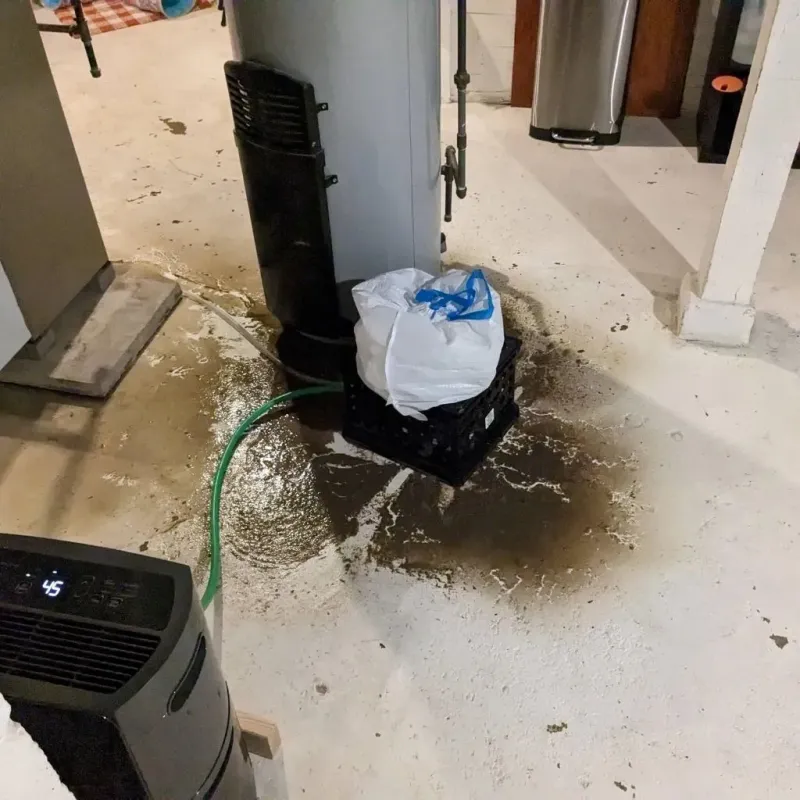Sewage Backup Cleanup Service in East Sumter, SC
